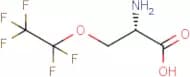 (2S)-2-Amino-3-(pentafluoroethoxy)propanoic acid