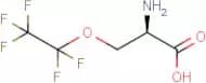 (2R)-2-Amino-3-(pentafluoroethoxy)propanoic acid