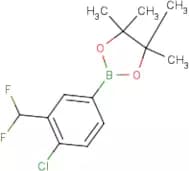 2-(4-Chloro-3-difluoromethylphenyl)-4,4,5,5-tetramethyl-[1,3,2]dioxaborolane