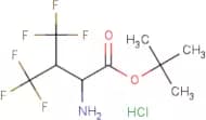 4,4,4,4',4',4'-Hexafluorovaline tert-butyl ester hydrochloride
