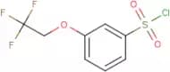 3-(2,2,2-Trifluoroethoxy)benzenesulfonyl chloride