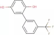 3-(2,5-Dihydroxyphenyl)benzotrifluoride