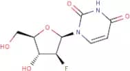 2'-Fluoro-2'-deoxy-β-D-arabino-furanosyluridine