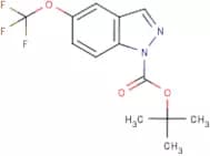5-(Trifluoromethoxy)-1H-indazole, N1-BOC protected