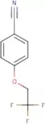 4-(2,2,2-Trifluoroethoxy)benzonitrile