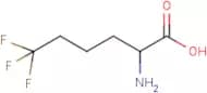 6,6,6-Trifluoro-DL-norleucine
