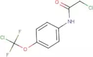 2-Chloro-N-{4-[chloro(difluoro)methoxy]phenyl}acetamide
