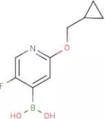 2-(Cyclopropylmethoxy)-5-fluoropyridine-4-boronic acid