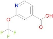 2-(Trifluoromethoxy)isonicotinic acid