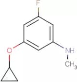 3-Cyclopropoxy-5-fluoro-N-methylaniline