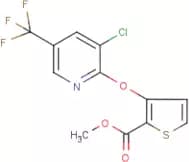 Methyl 3-[3-chloro-5-(trifluoromethyl)pyridin-2-yloxy]thiophene-2-carboxylate