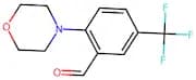 2-Morpholino-5-(trifluoromethyl)benzaldehyde