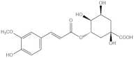 3-feruloylquinic acid