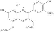Peonidin 3,5-diglucoside chloride
