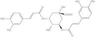 3,5-dicaffeoylquinic acid