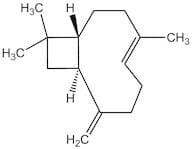 Β-caryophyllene