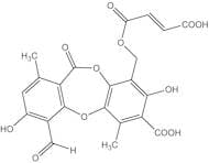 Fumarprotocetraric acid