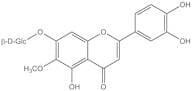 Nepetin 7-glucoside