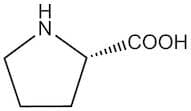 L-proline