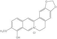 Berberrubine chloride