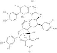 Cinnamtannin b1