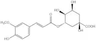 3-feruloylquinic acid