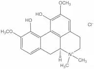 Magnoflorine chloride
