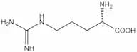 L-arginine