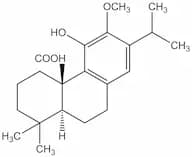 12-o-methylcarnosic acid