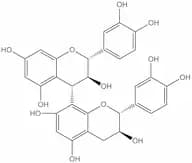 Procyanidin b3