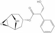 Norscopolamine