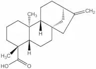 Kaurenoic acid