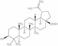 Betulinic acid