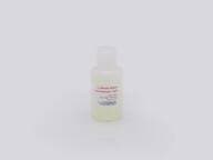 Block/Wash 20x Concentrate