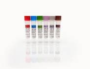 SP2/0 HCP Standards Set, A-F