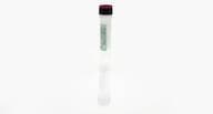 SP2/0 Antigen Concentrate