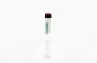 PER.C6® Control Antigen