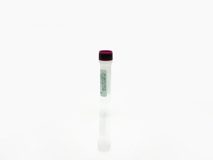 Pichia pastoris Antigen Concentrate for Cat # F640