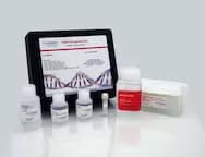 DNA Extraction Kit in Wells