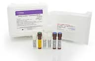Human AccuRes™ Quantitative DNA Kit