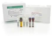 CHO AccuRes™ Quantitative DNA Kit