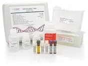 CHO AccuRes™ DNA Quantification Kit in Wells
