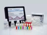 E. coli Host Cell DNA Detection Kit in Tubes