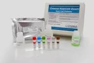 CHO HCP ELISA Kit