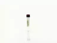 CHO HCP Antigen Concentrate