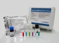 Mouse IgG2b ELISA Kit