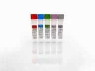 Protein A Standards Set, A-E