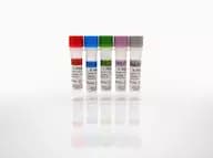 HSA Standards Set, A-E