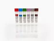 Human IgM Standards A-F