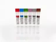 A549 Standards Set, A-F